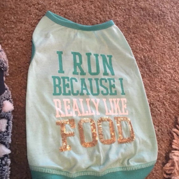 Puppy bundle! - Picture 2 of 4